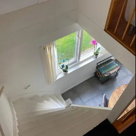 Salty Life Near The Noordwijk