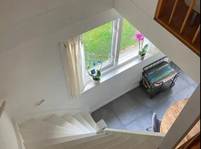 Not Bookable Salty Life Near The Noordwijk